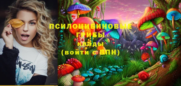кристаллы Новодвинск