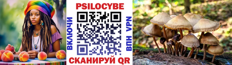 Псилоцибиновые грибы GOLDEN TEACHER  Жиздра 